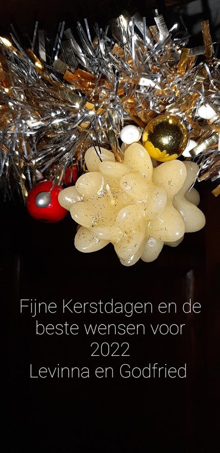 Kerst nieuwjaar 2022.jpg