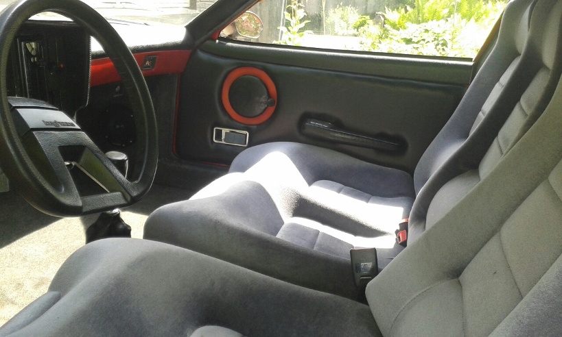 Grijs velours interieur