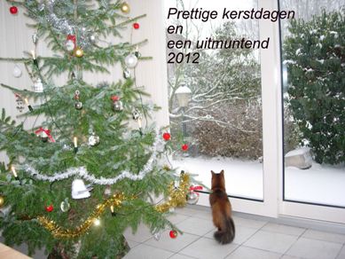 DSCN3061kerst.JPG